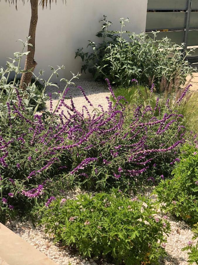 Appartamenti San Lorenzo Marzamemi Cecilia Reitani Exterior foto